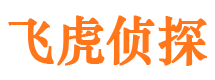 夏河市私人侦探